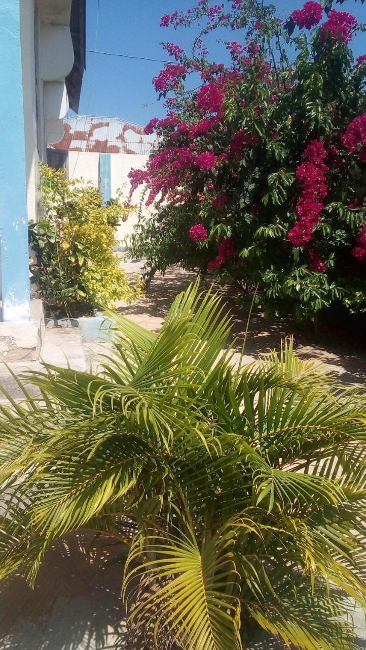Tina House - Jambian Pensionat Zanzibar